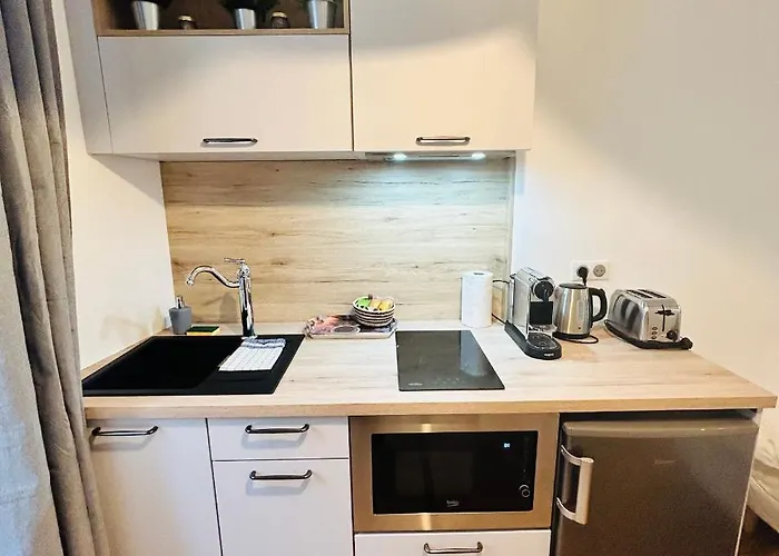 Le Carnot - Hospices - Centre - Climatisation דירה *