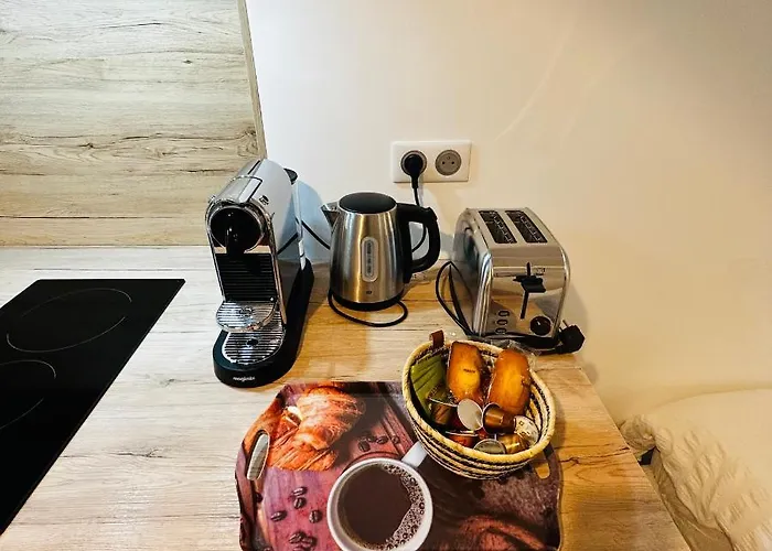 Le Carnot - Hospices - Centre - Climatisation * ביון